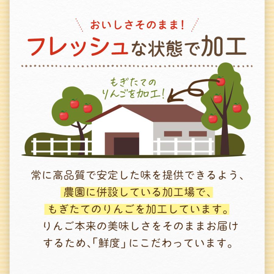 りんごチップス ドライフルーツ 70g 砂糖不使用 無添加 長野県産 乾燥