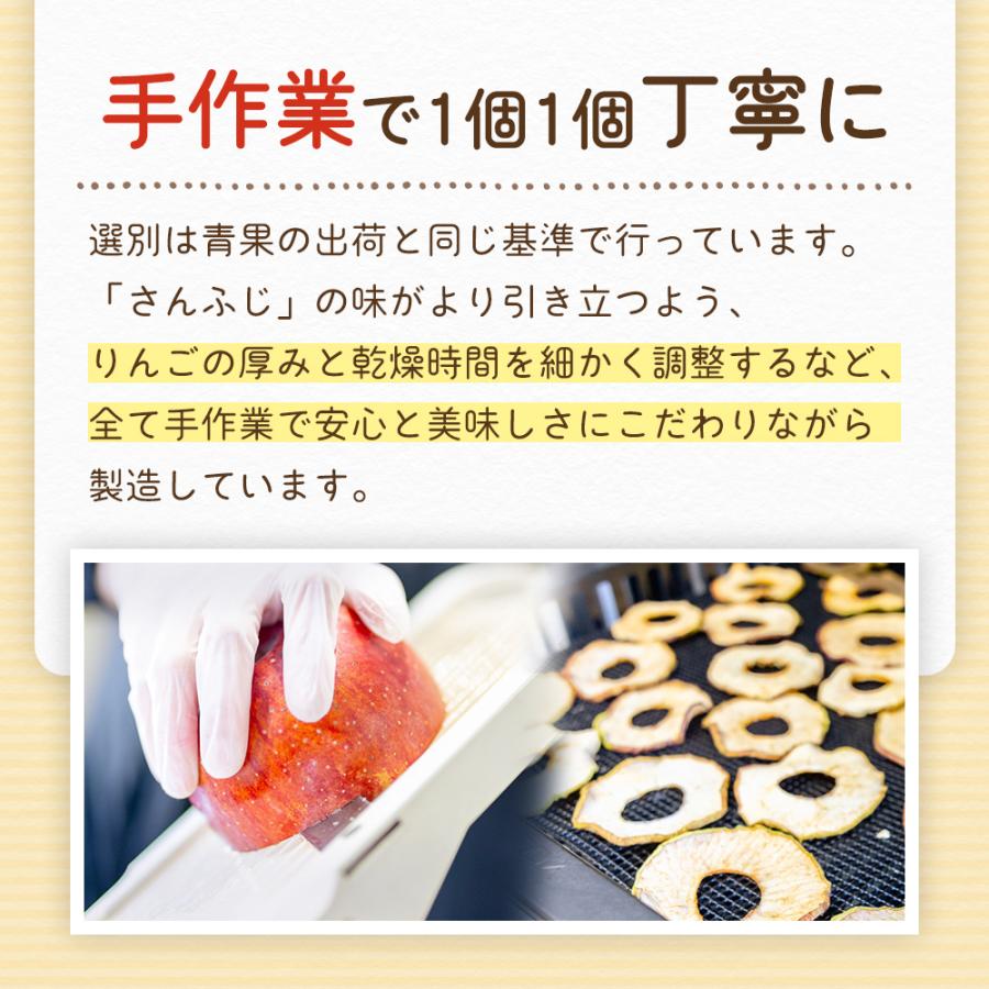 りんごチップス ドライフルーツ 70g 砂糖不使用 無添加 長野県産 乾燥