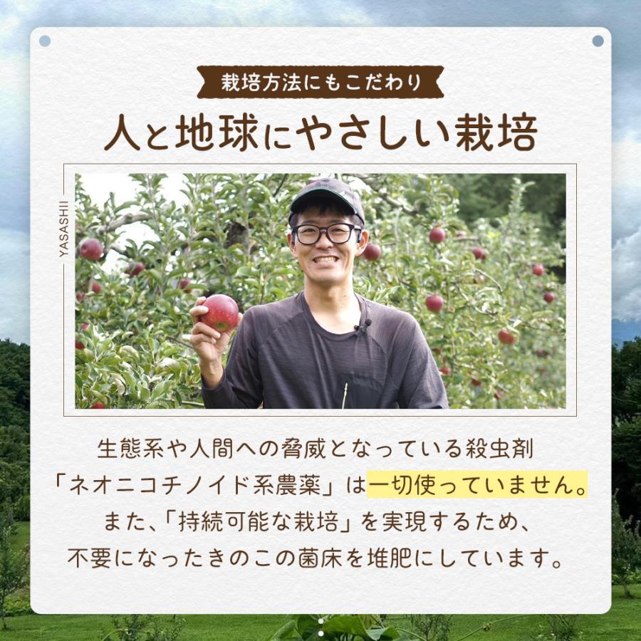 アリス 長野県産 サンふじ りんごチップス １０袋(１００g×１０) りんごチップス ドライアップル 国産 長野県産 70g りんご約840g分