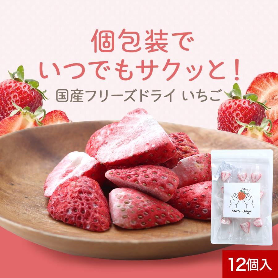 いちご ドライフルーツ ストロベリー otete ichigo 12個 砂糖不使用