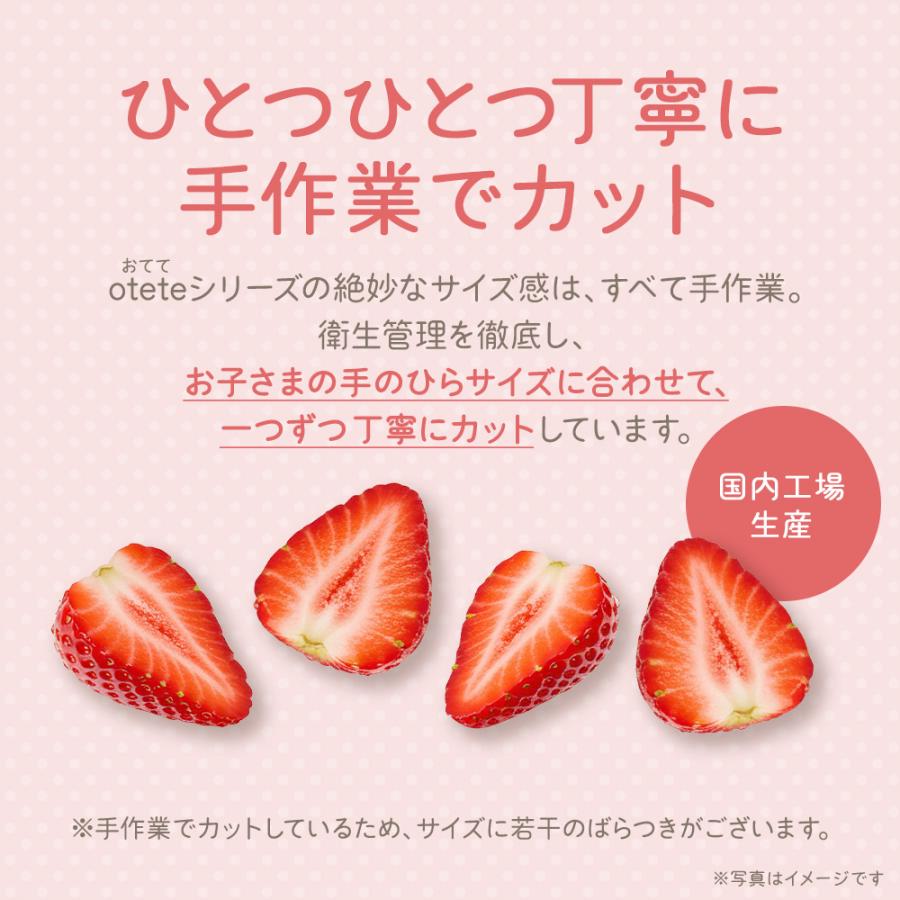 いちご ドライフルーツ ストロベリー otete ichigo 12個 砂糖不使用