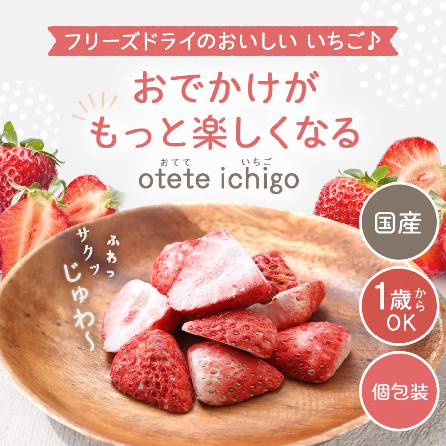 いちご ドライフルーツ ストロベリー otete ichigo 12個 砂糖不使用