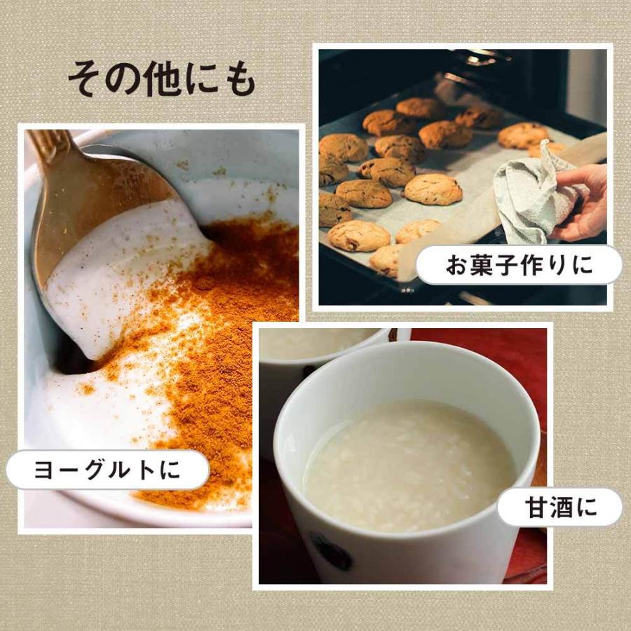 シナモンシュガー ココナッツシュガー 160g 無添加 有機原料使用 低GI