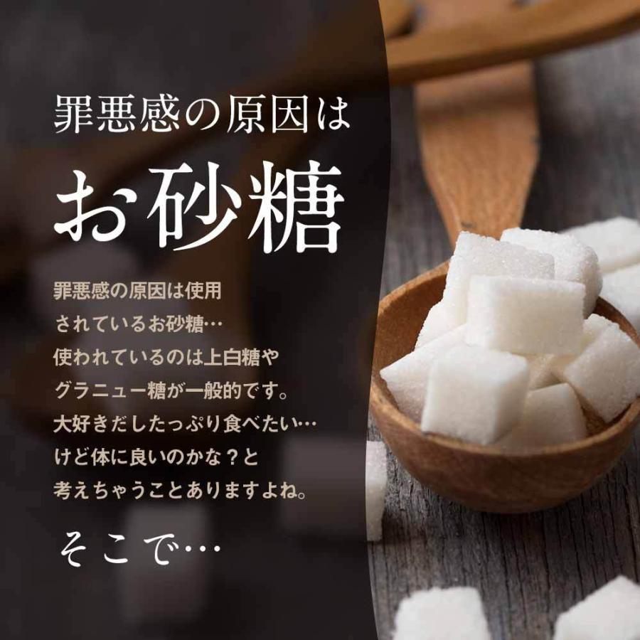 有機 シナモン ココナッツシュガー 160g シナモンシュガー 低GI