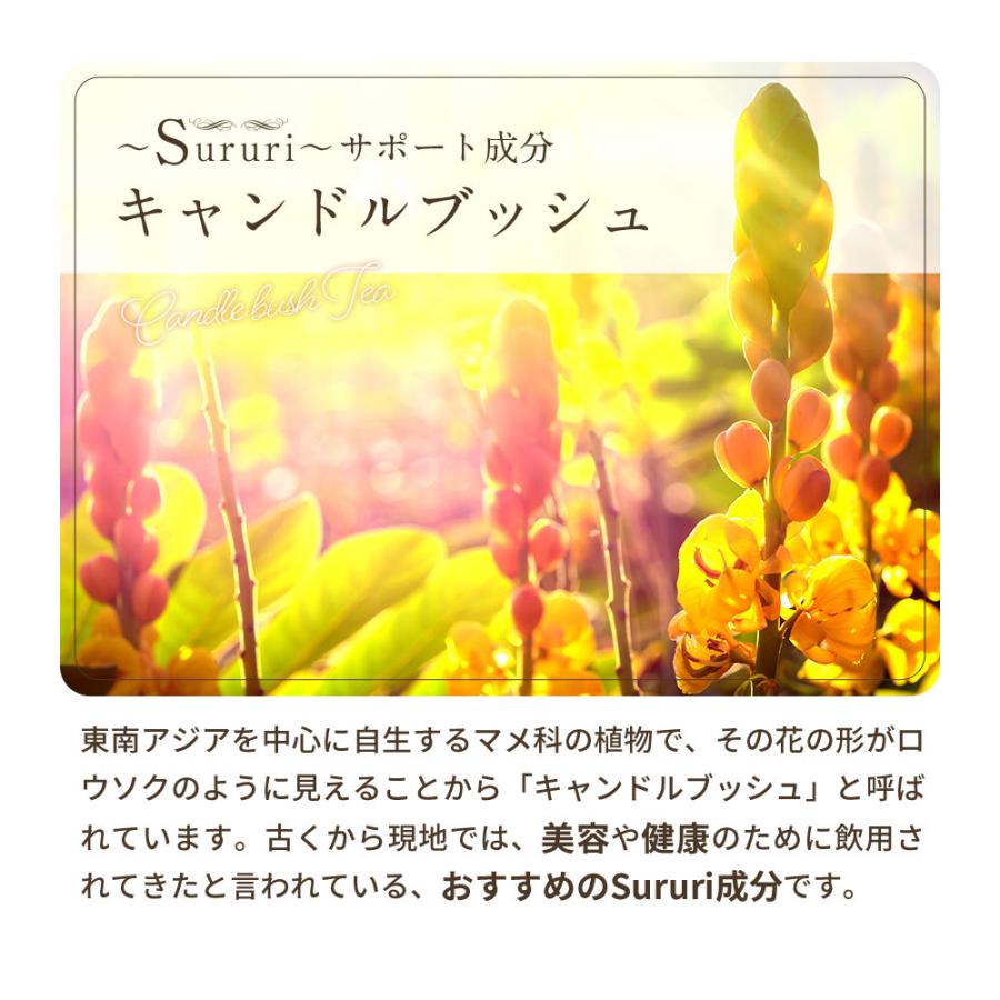 コンブチャ キャンドルブッシュtea Sururi 25包 選べる2種類 紅茶 ハトムギ ルイボスティー ハイビスカス ローズヒップ Tsg Tsg0380 食べてもいいおやつの店パクぽりっ 通販 Yahoo ショッピング