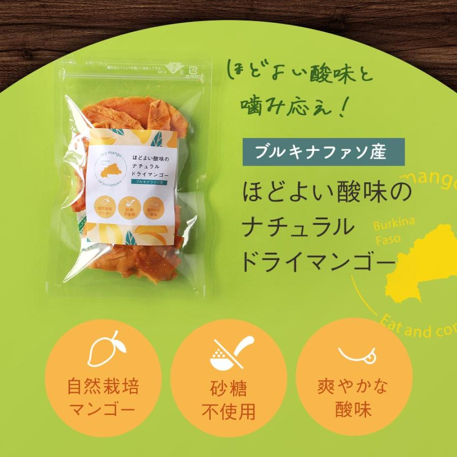 ドライマンゴー 無添加 2種 140g（70g×2袋） 砂糖不使用 ドライ