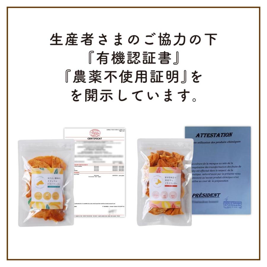 ドライマンゴー 無添加 2種 140g（70g×2袋） 砂糖不使用 ドライ