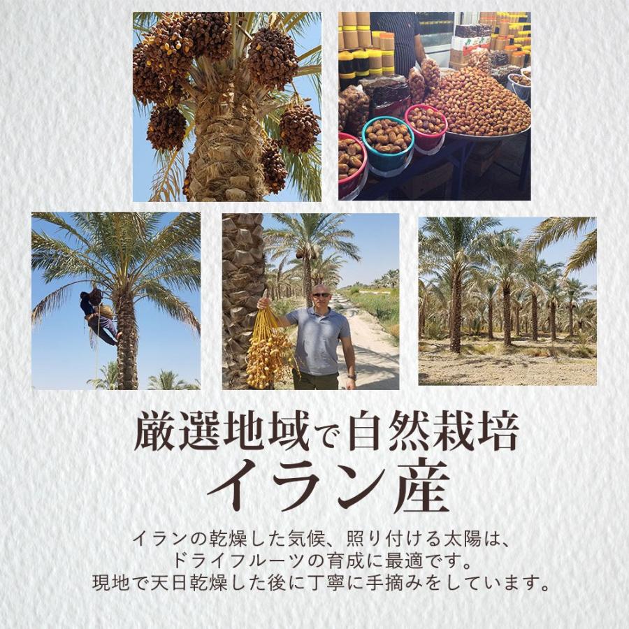 ゴールデンデーツ サクサク食感 ザヘディ 種あり 小ぶり デーツ ドライフルーツ 500g 砂糖不使用 Tsg Wko0116 食べてもいいおやつの店パクぽりっ 通販 Yahoo ショッピング