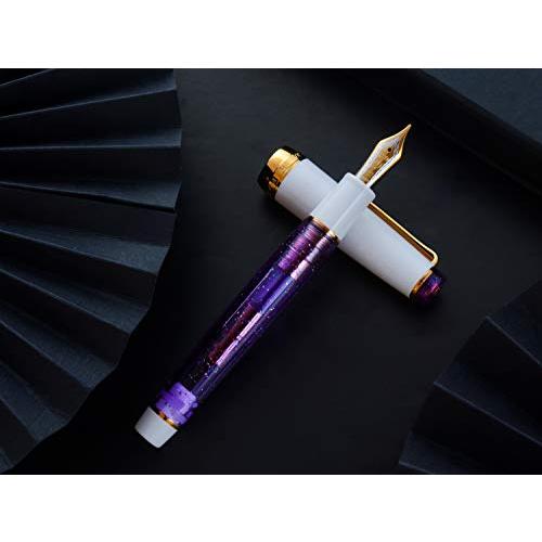 WANCHER限定万年筆 SAILOR セーラー オリジナル プロフェッショナル