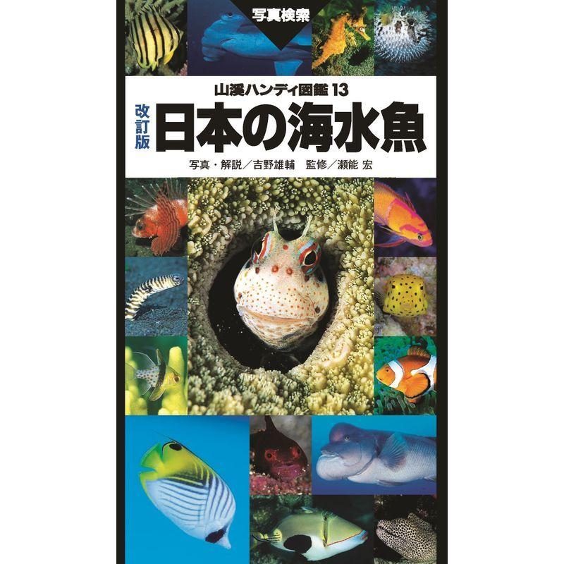 山溪ハンディ図鑑 改訂版 日本の海水魚 観察図鑑その他