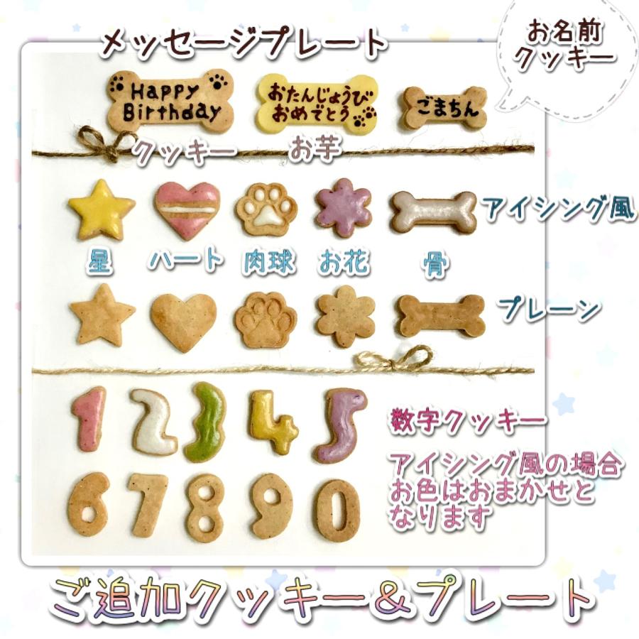 あれこれ選べる！3色わんこのころころフルーツケーキ（犬用ケーキ 
