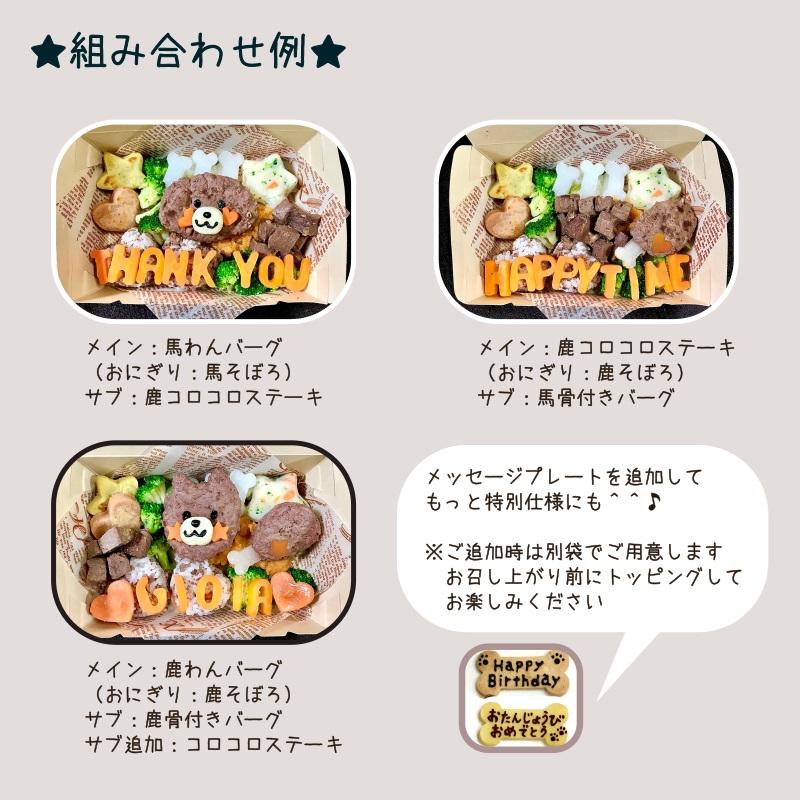 わんこの特製ごちそうBOX 無添加（ 犬用 行楽 弁当 ご飯 鹿肉 馬肉