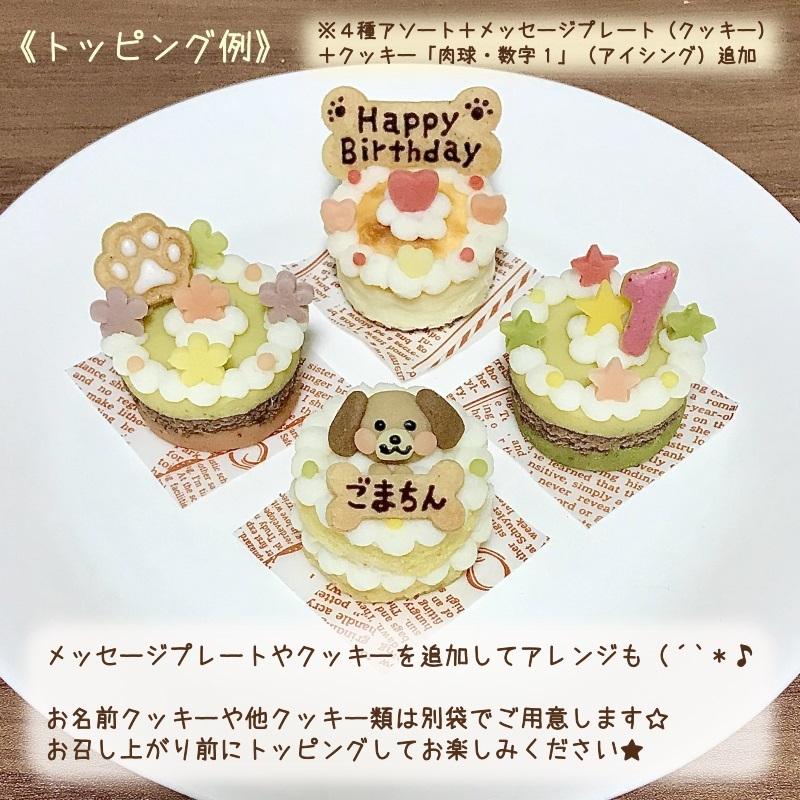 わんこの選べるミニケーキセット ２ ３個 犬用ケーキ 誕生日 名入れ 米粉 鹿肉 馬肉 チーズ Minicake わんこケーキジョイア 通販 Yahoo ショッピング