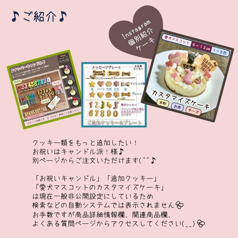 最高の品質の 愛犬マスコットの米粉ケーキ 犬用ケーキ オーダーメイド 誕生日 小麦粉不使用 Aynaelda Com