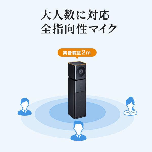 SANWA SUPPLY（サンワサプライ） カメラ内蔵 USB スピーカーフォン CMS