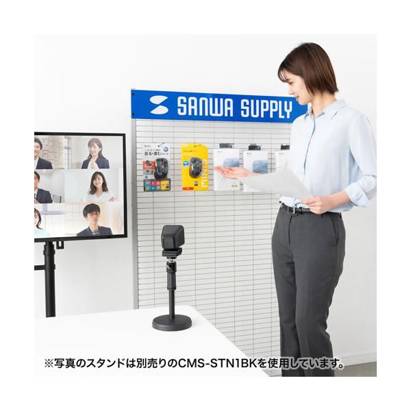 サンワサプライ ワイヤレスWEBカメラ USB-C CMS-V65BK CMS-V65BK【ワイヤレスWEBカメラ】ケーブルを気にせずどこでも