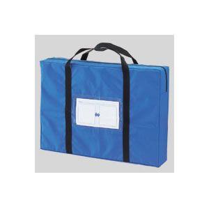 ケース CR-41649 クラウン メールバッグビッグ ブルー CR-ME90-BL : ぎおん