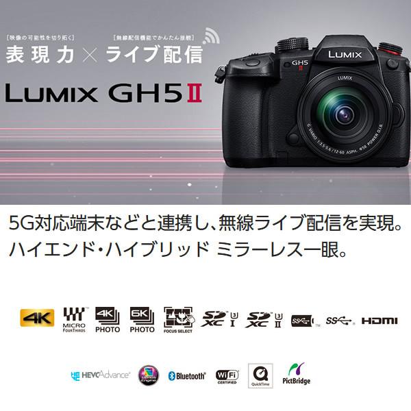 LUMIX Gシリーズ Panasonic パナソニック ミラーレス 一眼カメラ DC
