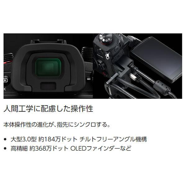 パナソニック  ミラーレスデジタル一眼カメラ LUMIX DC-GH6L 標準ズームレンズキット｜gion｜07