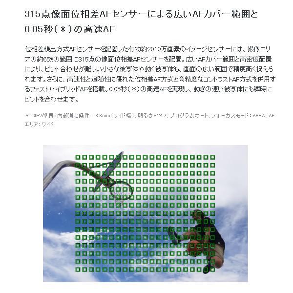 ソニー デジタルカメラ Cyber Shot Dsc Rx100m5a ぎおん 通販 Paypayモール