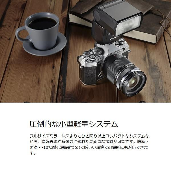 Olympus ミラーレス一眼レフカメラ Om D E M5 Mark Iii ボディ シルバー ぎおん 通販 Paypayモール