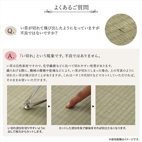 置き畳 ユニット畳 システム畳 国産 い草 消臭 抗菌防臭 イケヒコ 市松 ブラック 単品 IKE-8340709｜gion｜10