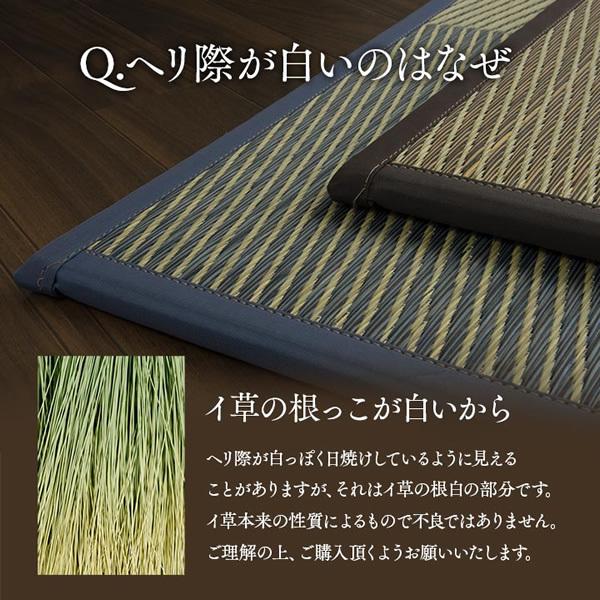 置き畳 ユニット畳 半畳 正方形 い草 ジョイントマット 市松 ブルー 12P 同色12枚組 イケヒコ IKE-8629550_9