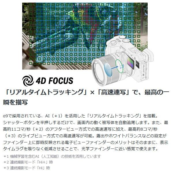 SONY ソニー ミラーレス 一眼レフ カメラ α6600 ILCE-6600 SONY ソニー ミラーレス 一眼レフ カメラ α6600 ILCE-6600
