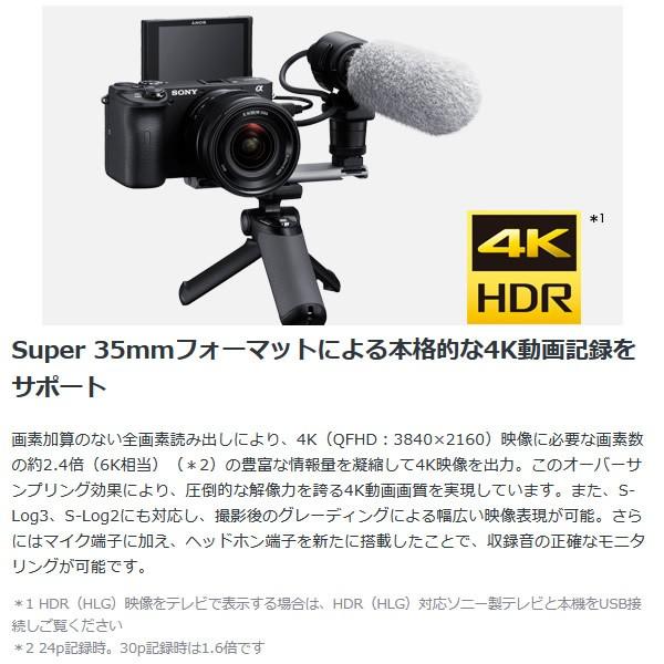 SONY ソニー ミラーレス 一眼レフ カメラ α6600 ILCE-6600 SONY ソニー ミラーレス 一眼レフ カメラ α6600 ILCE-6600