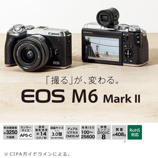 キヤノン ミラーレス 一眼カメラ Eos M6 Mark Ii ダブルズームキット シルバー ぎおん 通販 Paypayモール