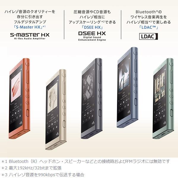 最終値下げ SONY ウォークマン Aシリーズ 専用イヤホン付き NW-A45HN(L