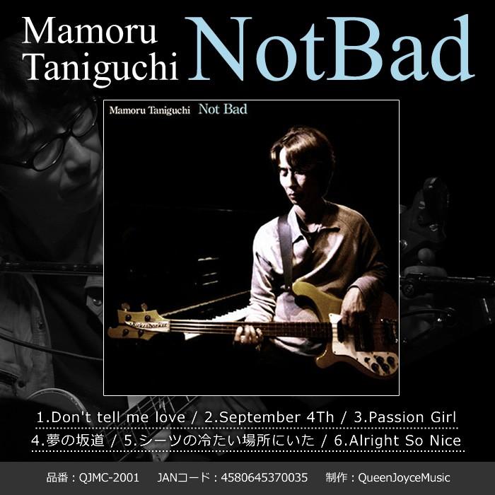 谷口守 Mamoru Taniguchi「NotBad」｜gion｜02