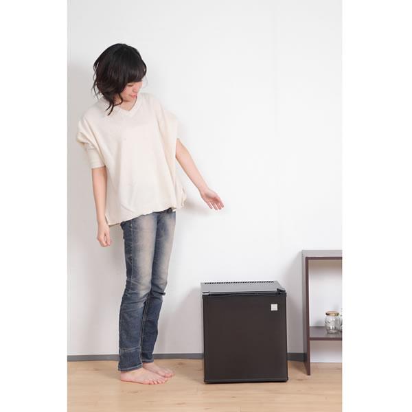 SunRuck（サンルック） サンラック ペルチェ式 20リットル 1ドア電子 