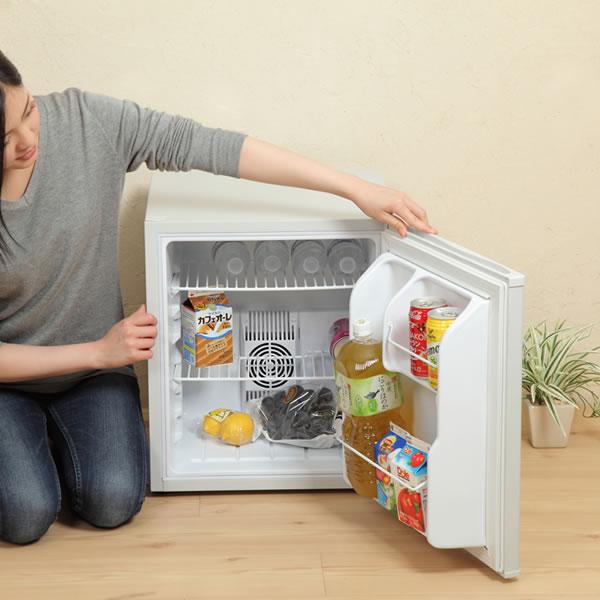 SunRuck（サンルック） サンラック ペルチェ式 48リットル 1ドア電子