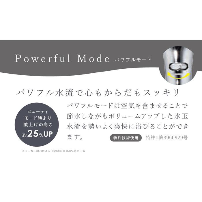 【正規販売店】 Bollina Avanti Aqua ボリーナ アヴァンティ アクア TK-7330｜浄水機能で肌・髪にやさしいシャワー