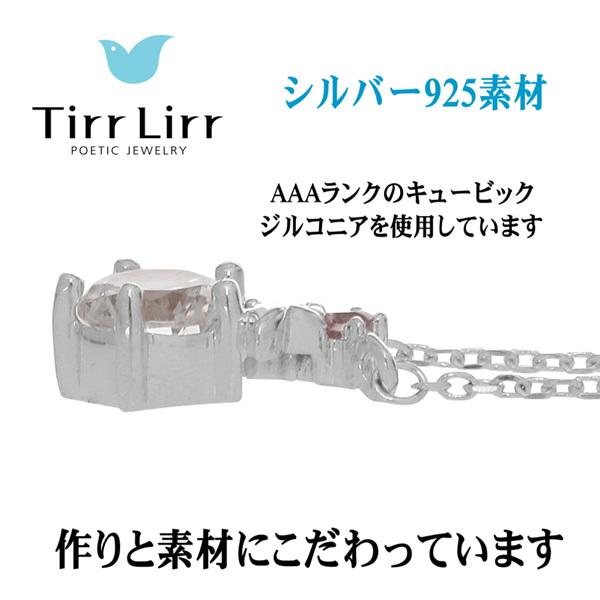 TirrLirr ティルリル tns-012 tnsSVCZ ネックレス アミュレットペンダント シルバー｜gion｜05