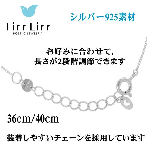 TirrLirr ティルリル tns-012 tnsSVCZ ネックレス アミュレットペンダント シルバー｜gion｜07