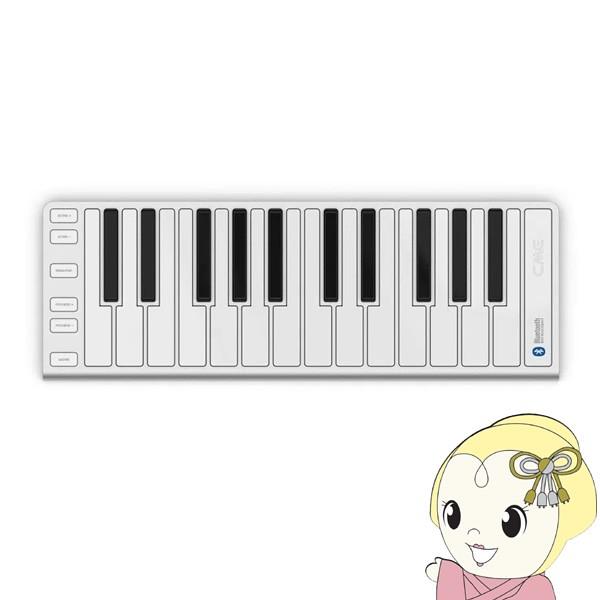 供え ディリゲント Xkey Air 25 Bluetooth MIDIキーボード caslog.com.tr