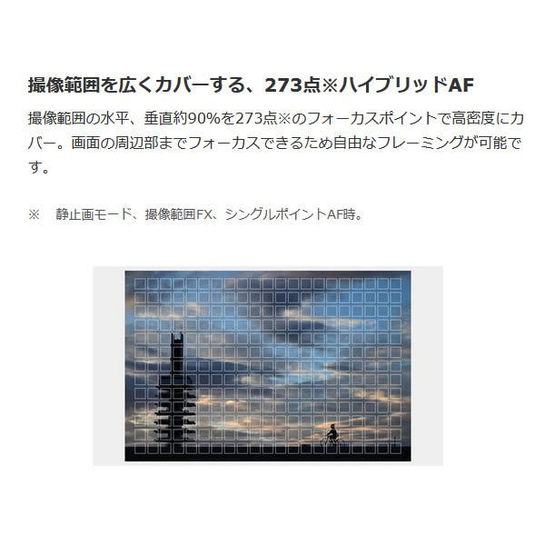 ニコン ミラーレス 一眼レフ カメラ Z 5 ボディ_2
