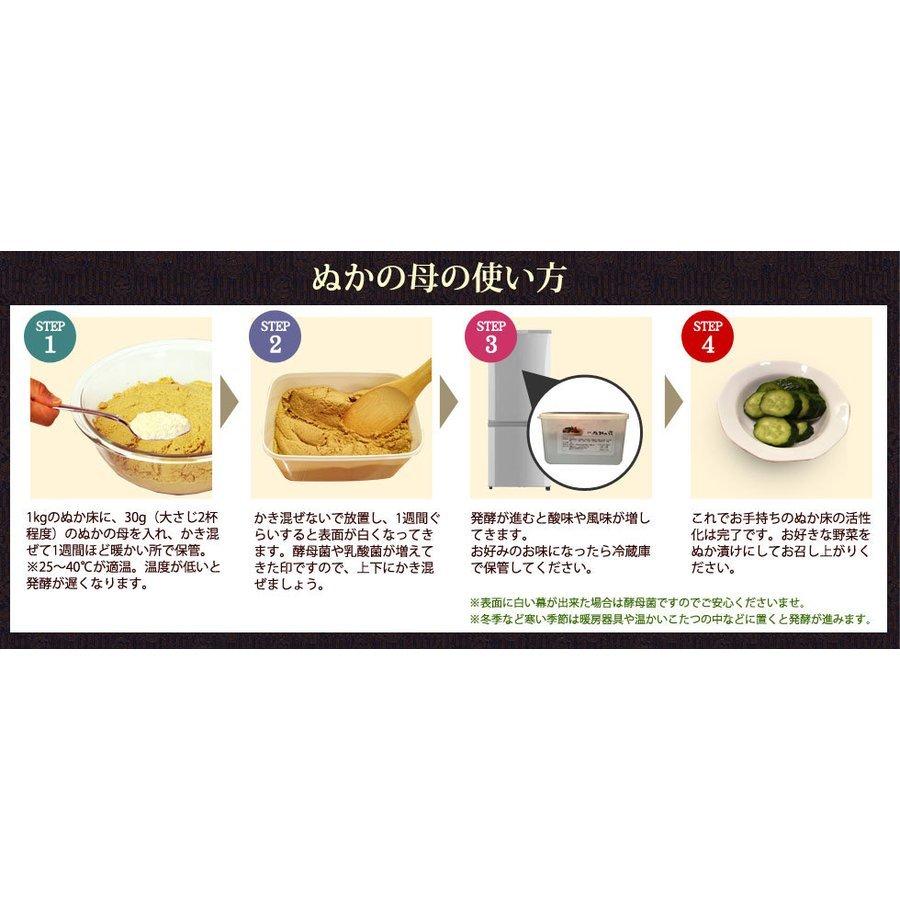 永遠の定番モデル 京料理 祇園ばんやぬか床セット 無農薬 無添加 簡単 初心者 漬物 ぬか漬け 人気 おすすめ ぬかの花スタートセット大 送料無料 Cervejariaturatti Com Br