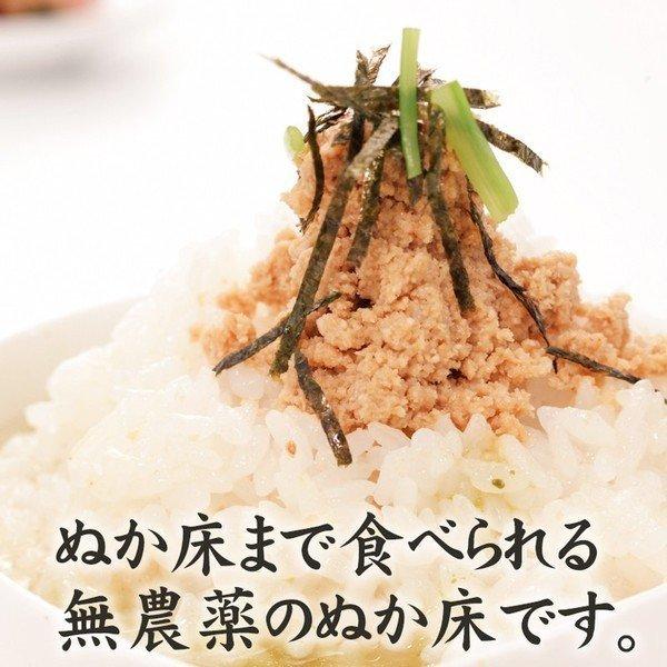 無農薬ぬか床 ぬかの花スタートセット 小 専用補充ぬか 1 2人用 初心者ok カンタン超熟成ぬか床 容器セット 京都 祇園 送料無料 一部地域除く Nukanohana Set 1 京料理 祇園ばんや 通販 Yahoo ショッピング