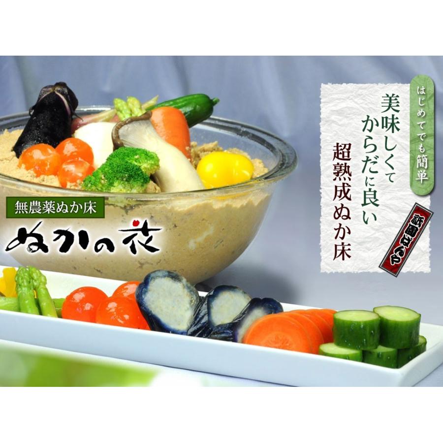 ぬか床 無農薬 無添加 簡単 初心者 漬物 ぬか漬け 人気 おすすめ ぬかごと食べれる ぬかの花 メール便 送料無料 Nukanohana 京料理 祇園ばんや 通販 Yahoo ショッピング
