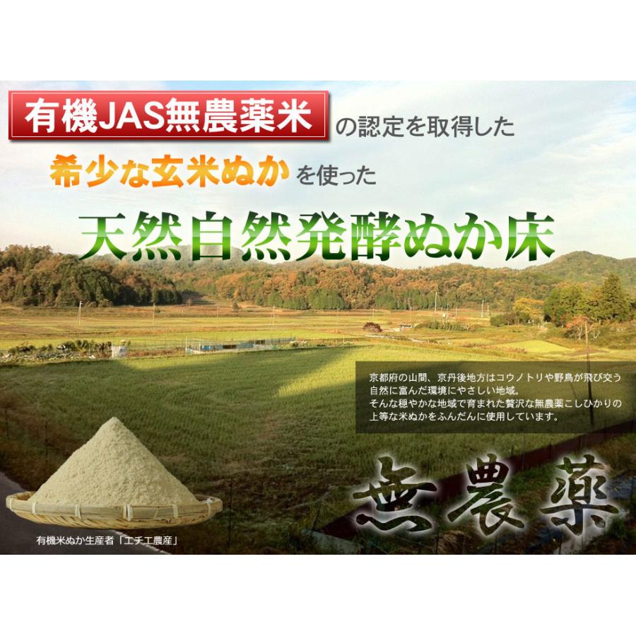 ぬか床 無農薬 無添加 簡単 初心者 漬物 ぬか漬け 人気 おすすめ ぬか