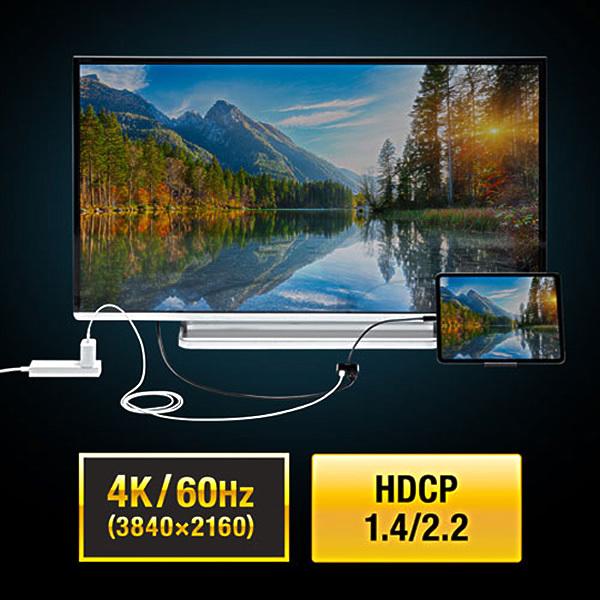 サンワサプライ USB Type C-HDMI変換アダプタ（4K/60Hz/PD対応） AD-ALCPHDPD｜gioncard｜04