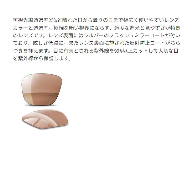 [予約]スポーツサングラス AirFly エアフライ ZYGOSPEC ジゴスペック AF-402 C-3 Tortoiseshell / Brown べっ甲柄/srmの画像