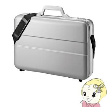BAG-ABS5N2 サンワサプライ ABSハードPCケース（14インチワイド）/srm