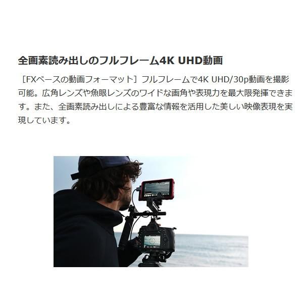 ニコン デジタル一眼レフカメラ D780 ボディ/srmの画像
