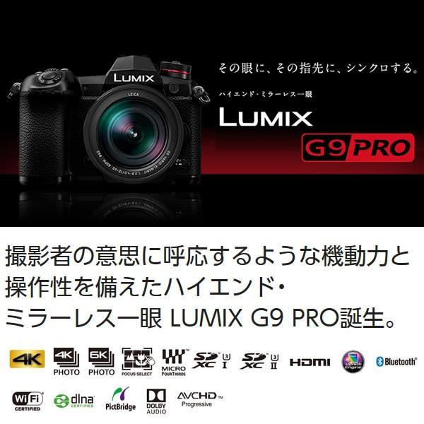 パナソニック ミラーレス一眼カメラ LUMIX DC-G9L 標準ズームライカDGレンズキット/srm｜gioncard｜02