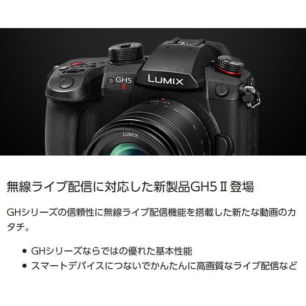 LUMIX Gシリーズ Panasonic パナソニック ミラーレス 一眼カメラ DC