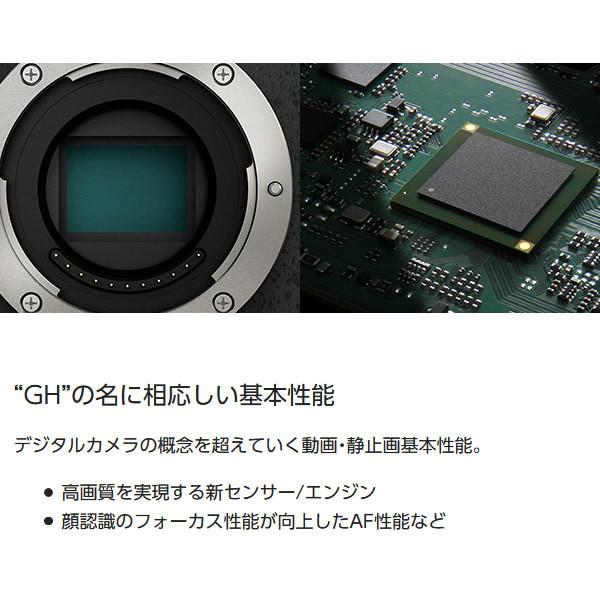 LUMIX Gシリーズ Panasonic パナソニック ミラーレス 一眼カメラ LUMIX Gシリーズ Panasonic パナソニック ミラーレス 一眼カメラ